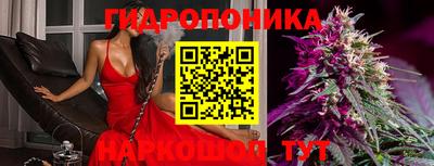 крисы Балаково