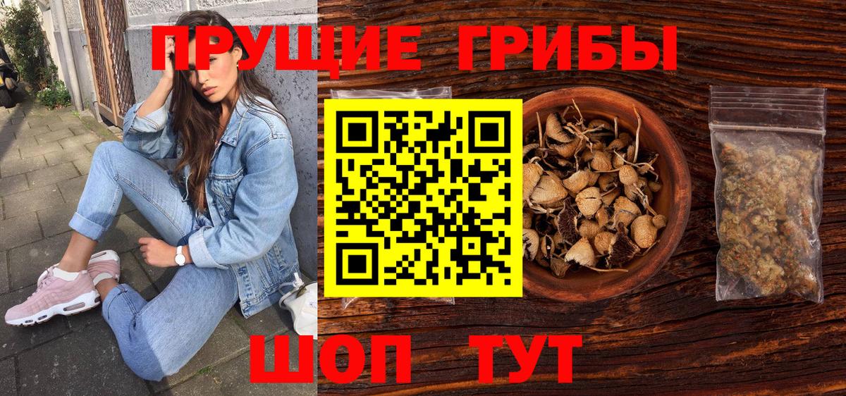 Галлюциногенные грибы мицелий Белово